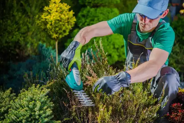 landscaping services Morgantown
